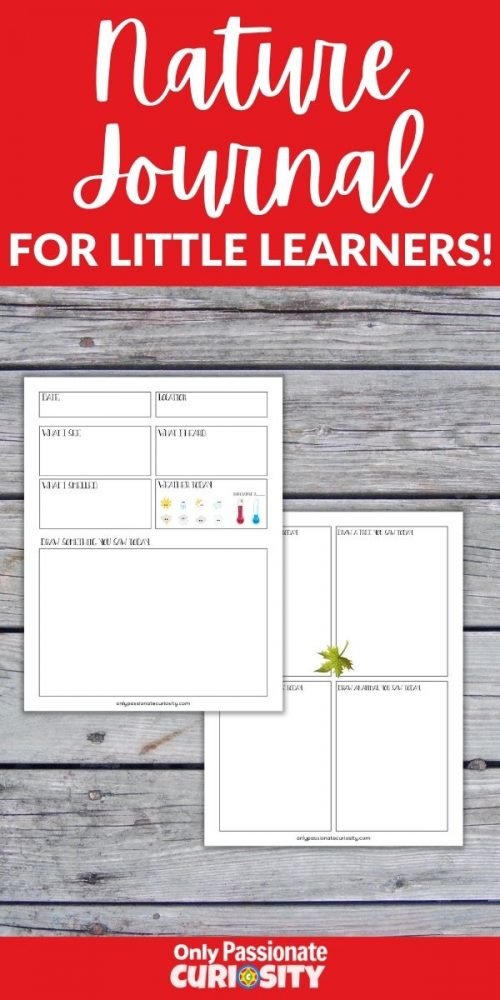 If you're planning some springtime fun outdoors with your kiddos, use this printable nature journal to help them explore and make observations!