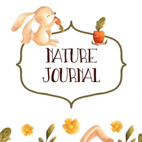 Nature Journal for Little Learners!