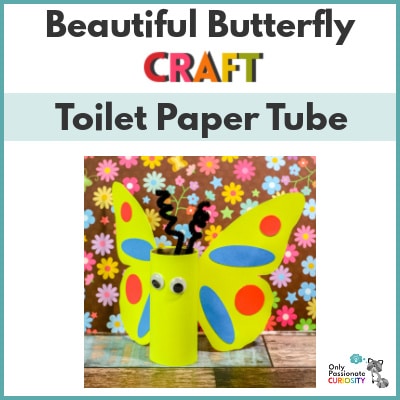 Butterfly Toilet Paper Tube Craft