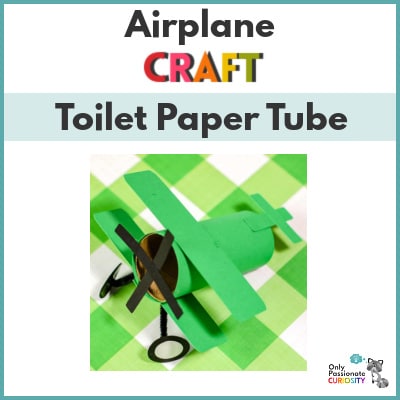 Airplane Toilet Paper Tube Craft