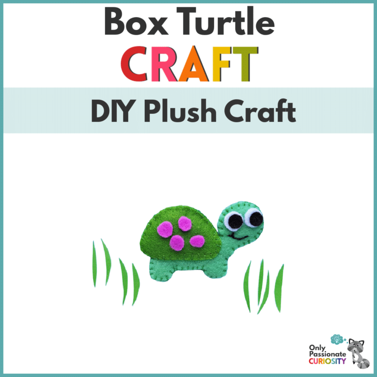 Box Turtle DIY Plush Craft