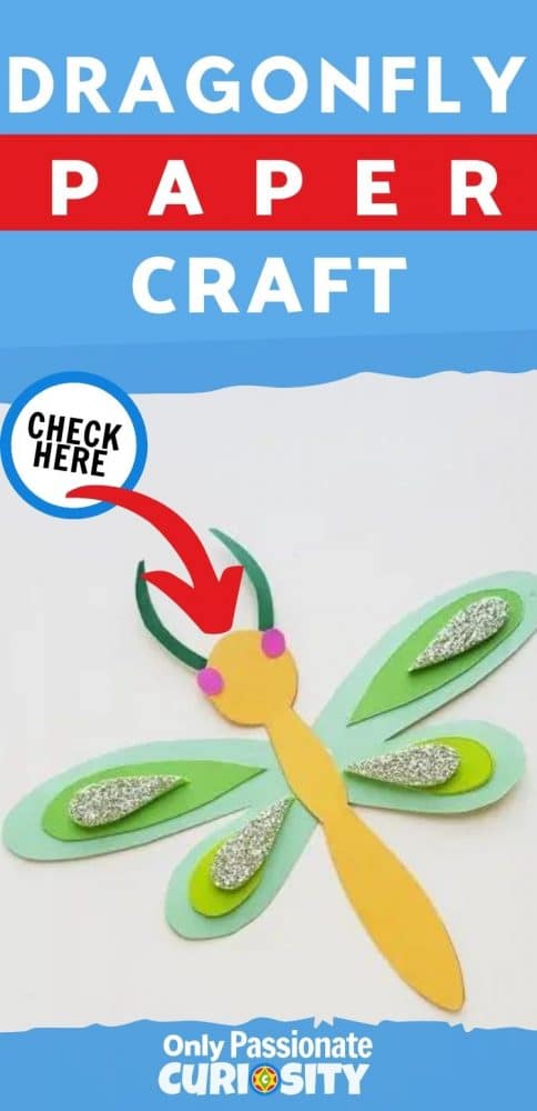 This simple DIY dragonfly papercraft is a fun summertime craft to use with kids of all ages. You can also use it to go with your insect study!