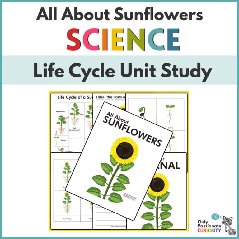 All About Sunflowers Unit Study