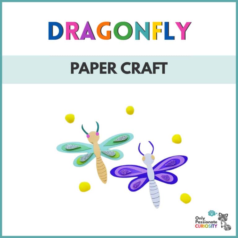 Dragonfly Paper Craft