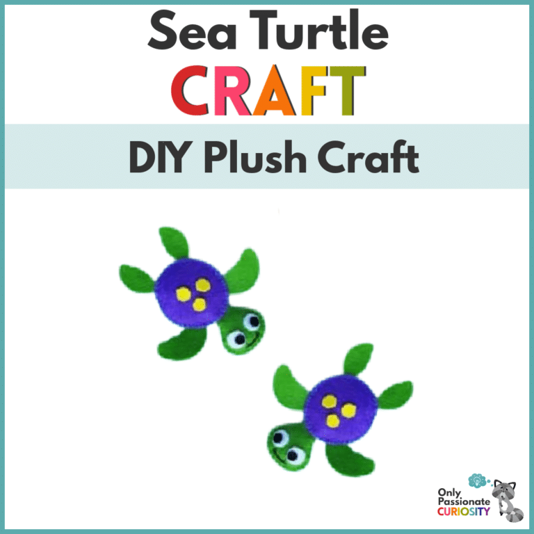 Sea Turtle DIY Plush Craft