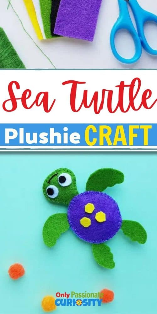 This adorable hands-on craft will be a great addition to your kids' study of sea turtles! Use it along side our other educational resources on sea turtles and marine life!