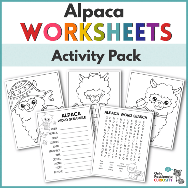 Alpaca Activity Sheets Pack - Only Passionate Curiosity