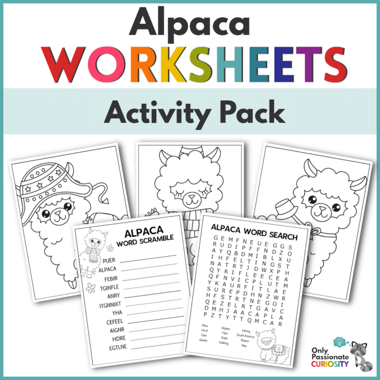 Alpaca Activity Sheets Pack