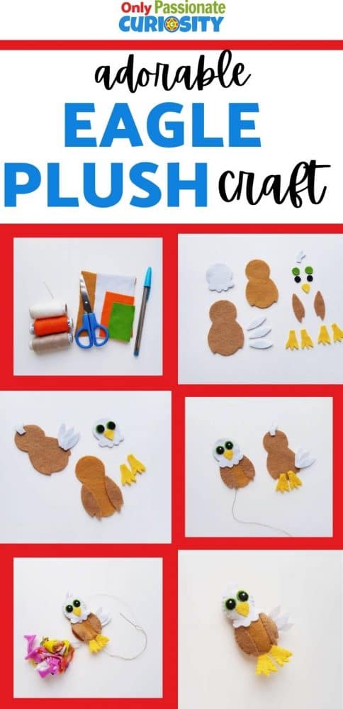 Celebrate eagles (and the freedom they stand for) by making this eagle plush craft! This is a great craft to use around the 4th of July!