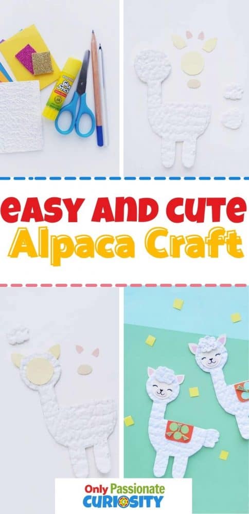 Learning about alpacas (or farm animals in general?) This cute and easy alpaca craft makes a great addition to your studies!