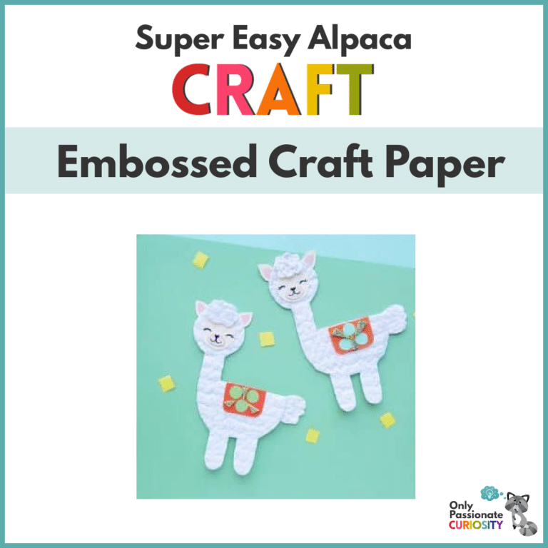 Easy and Cute Alpaca Craft