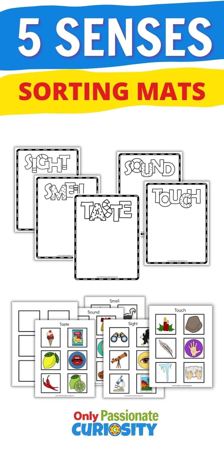 5 Senses Sorting Mats - Only Passionate Curiosity