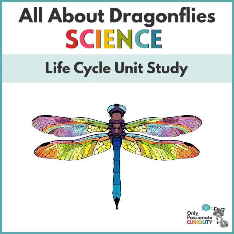 All About Dragonflies: Life Cycle Unit Study
