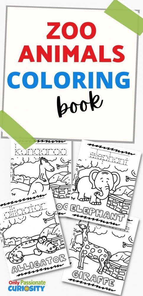This 15 page printable Zoo Animal Coloring Book is the perfect independent activity to engage young learners (toddlers -kindergarten level).