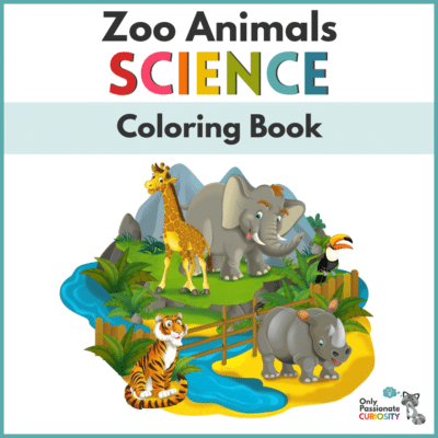 Zoo Animals Coloring Book - Only Passionate Curiosity