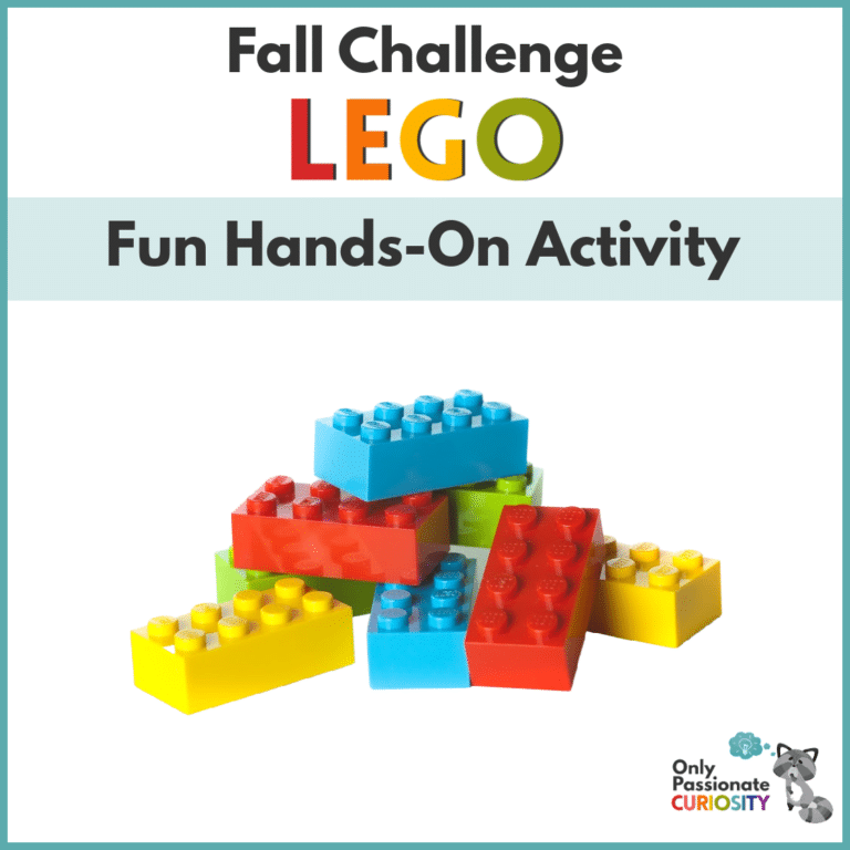Fall LEGO Challenge
