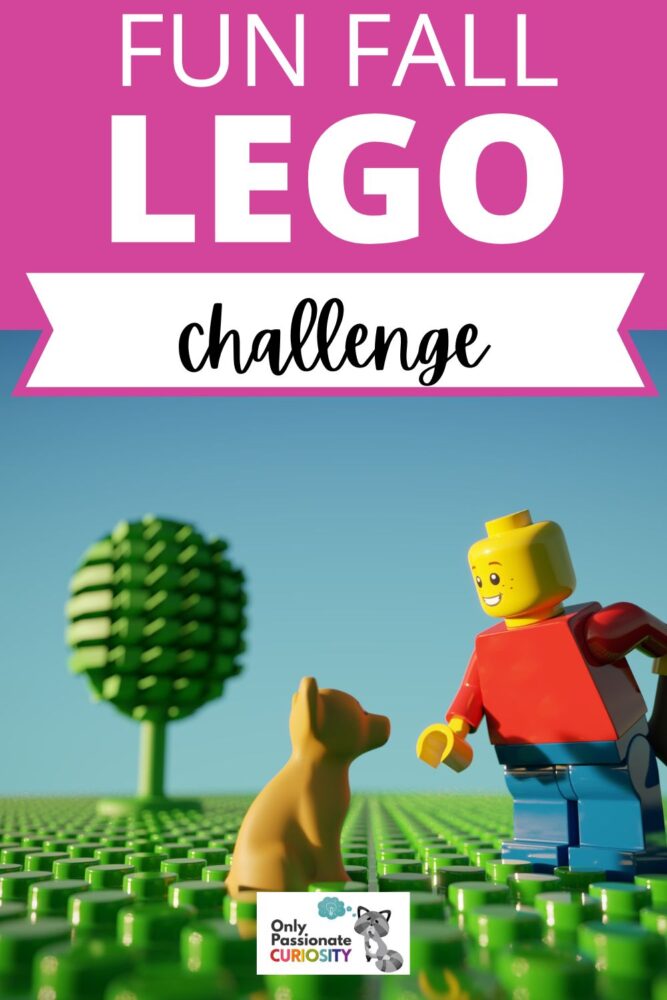 Use this Fall LEGO Challenge prompts in this printable to inspire your child's critical and creative thinking skills!
