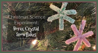 borax crystal science experiment