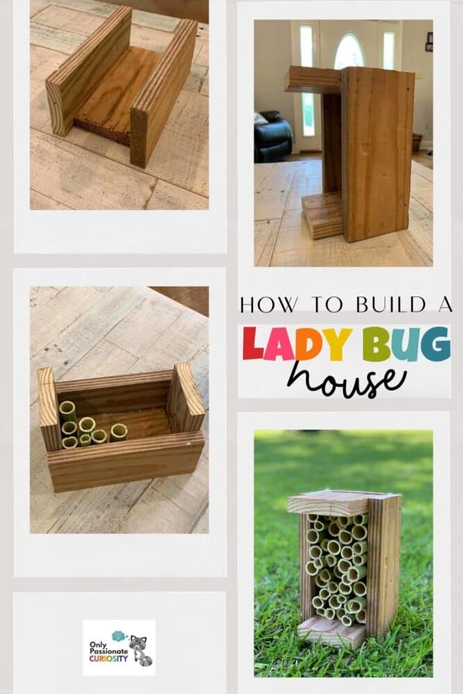 Our children learn best when they learn in a real-life way! This article tells you how to build a ladybug house and gives you resources for turning it into a unit study!