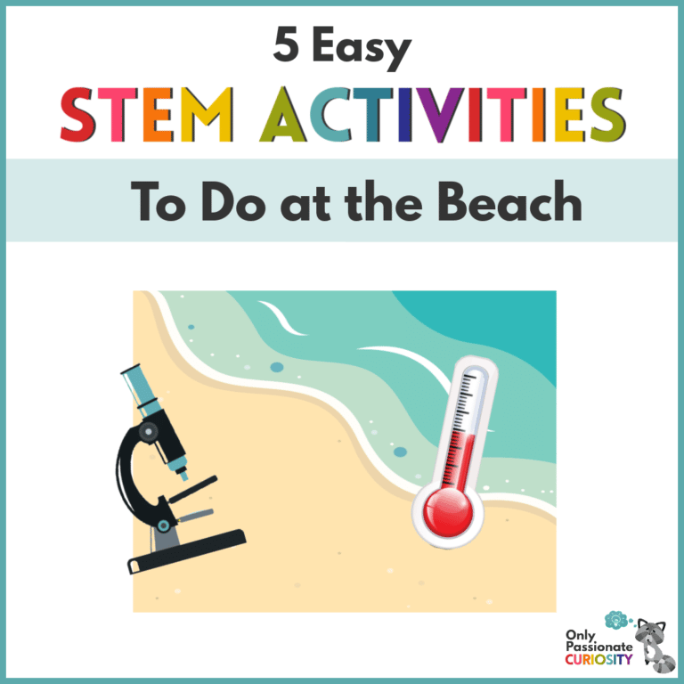 5 Easy Beach STEM Activities