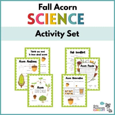 acorn activity set