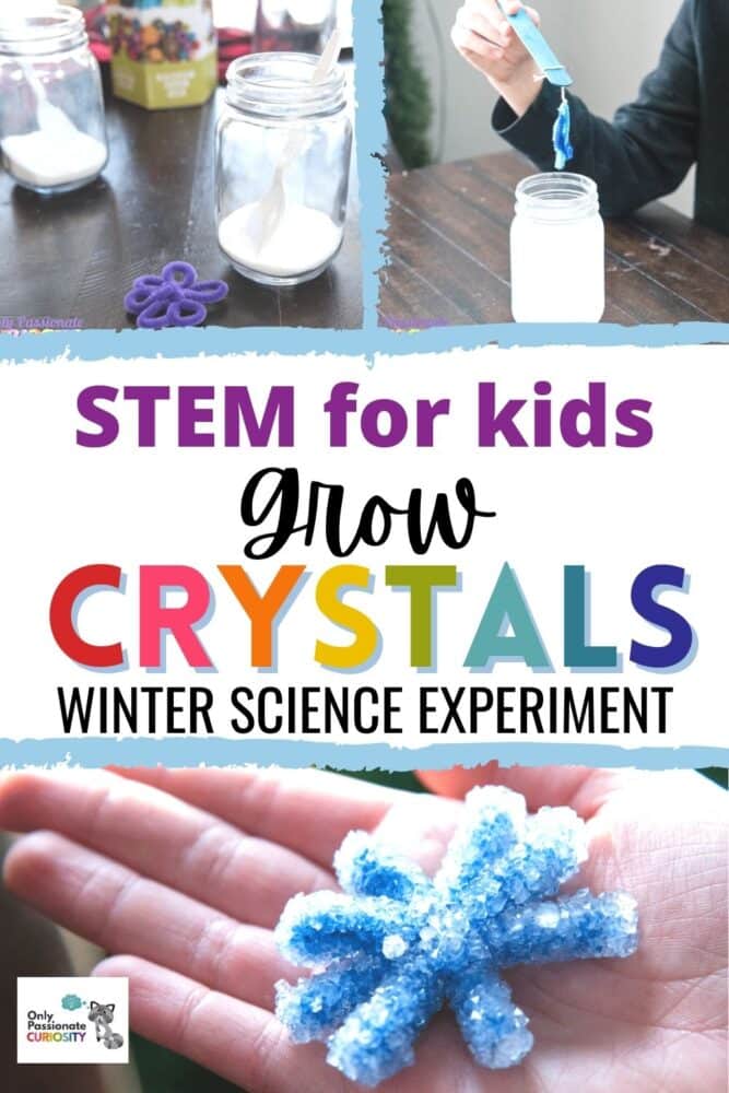 It's fun to study snow! This article shares ideas for learning more about real snow and how to grow crystals to make your own crystal snowflakes!