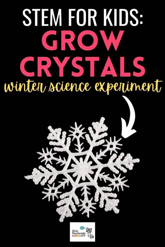 It's fun to study snow! This article shares ideas for learning more about real snow and how to grow crystals to make your own crystal snowflakes!