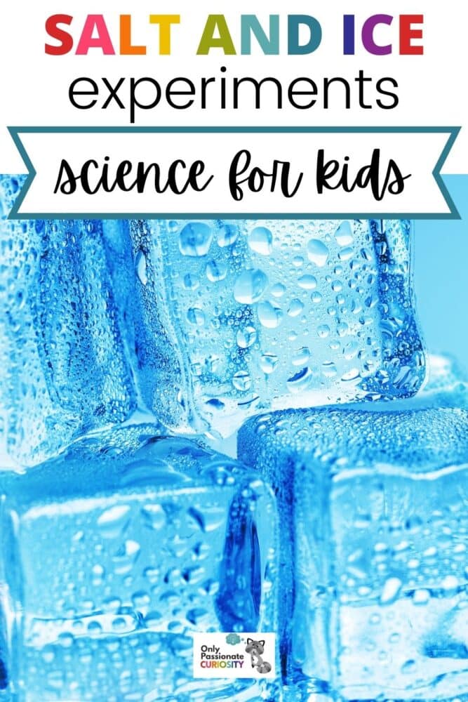 Here is an easy experiment that is relatable to real-world winter conditions. You can test and observe the effects of salt and other household materials on ice. Have some fun winter science experiments with salt and ice.