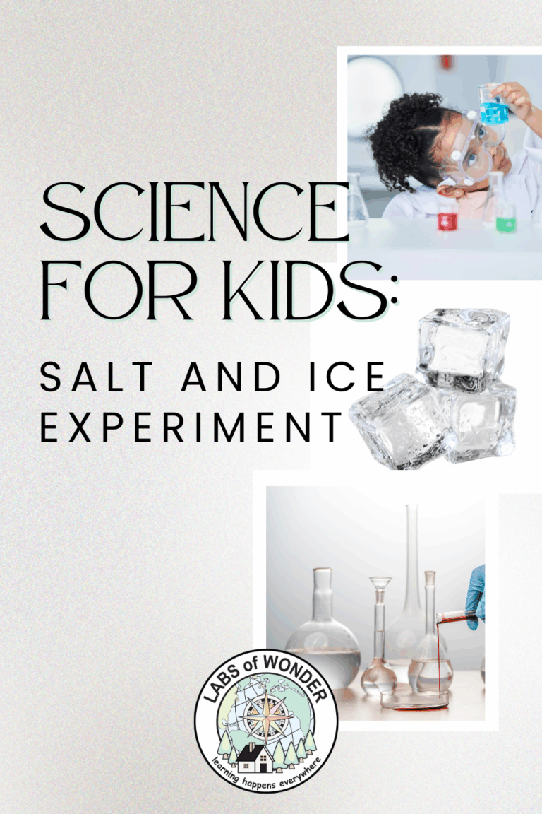 Science for Kids: Salt and Ice Experiment - Only Passionate Curiosity