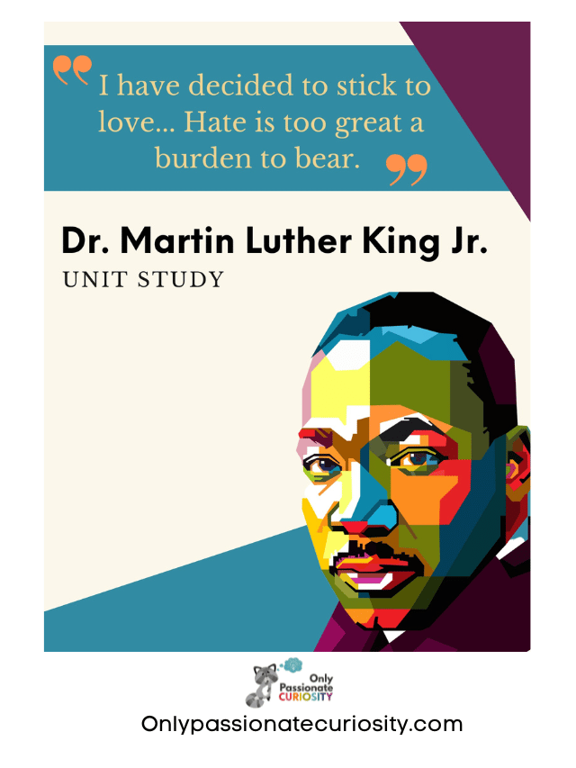 facts-about-martin-luther-king-jr-only-passionate-curiosity