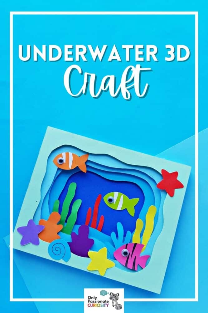 3D underwater craft
