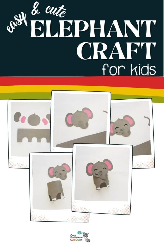 elephant craft