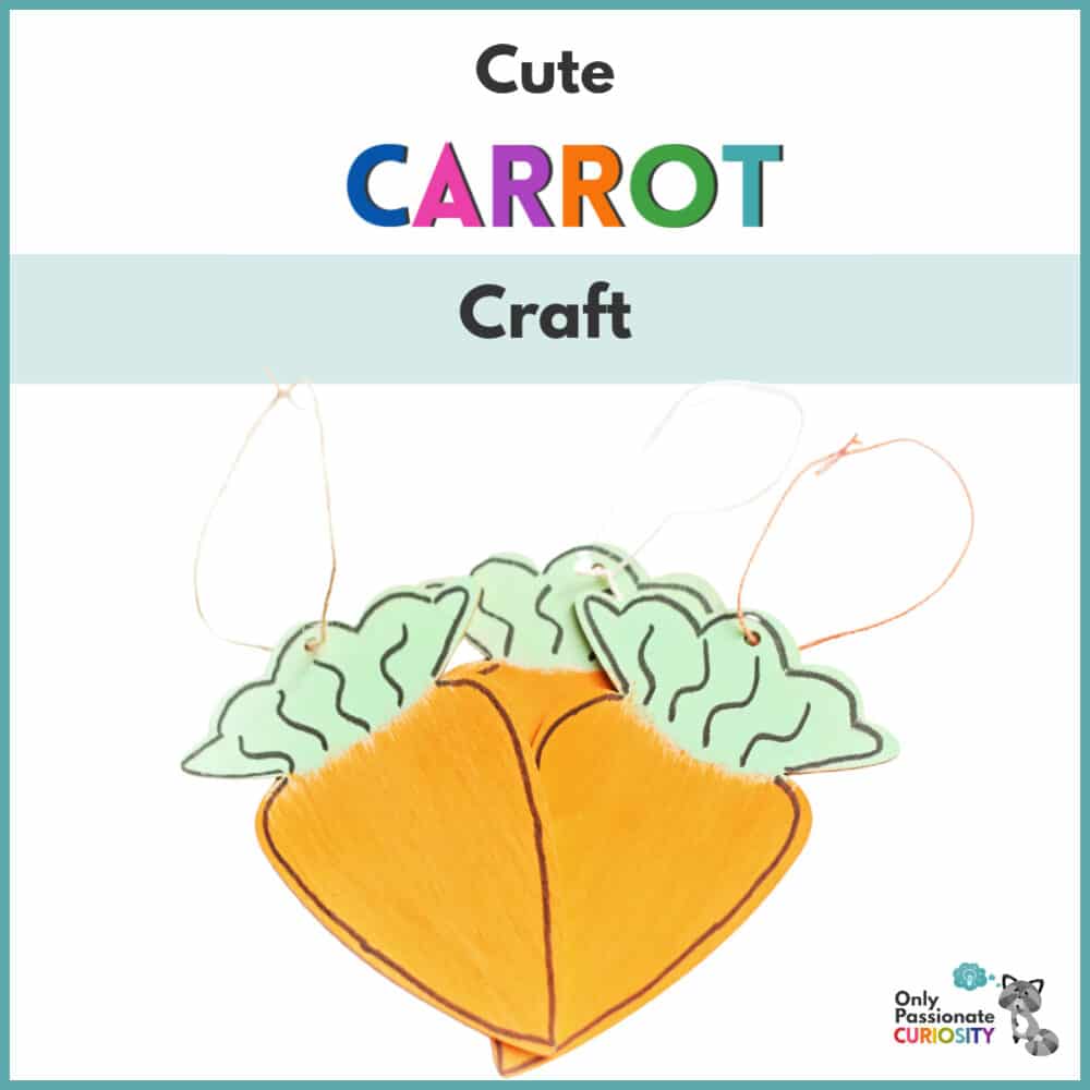 Cute Carrot Craft