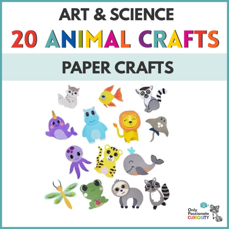 20 Creative & Simple Paper Animal Projects
