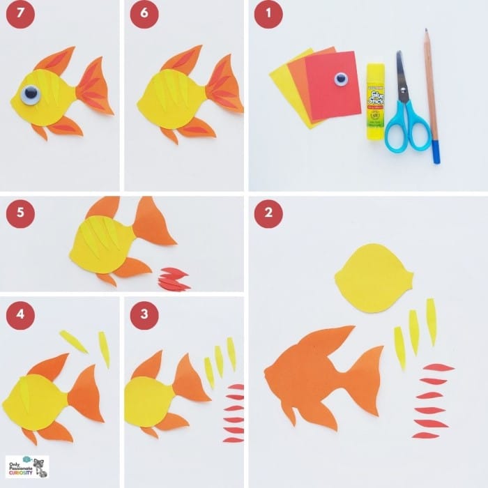 paper animals - steps for angelfish