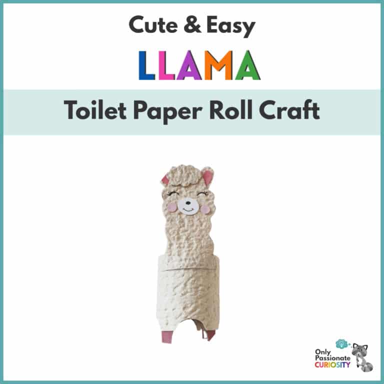Cute & Easy Llama Toilet Paper Roll Craft