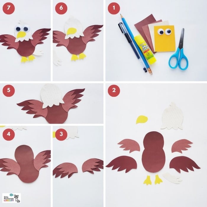 paper animals - steps for eagle