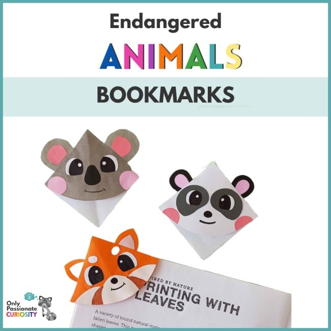 three endangered animals corner bookmarks: koala, panda, and red panda