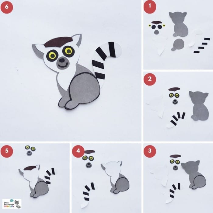 paper animals - steps for lemur