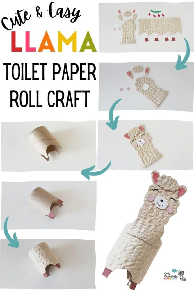 LLama Toilet Paper Roll Craft