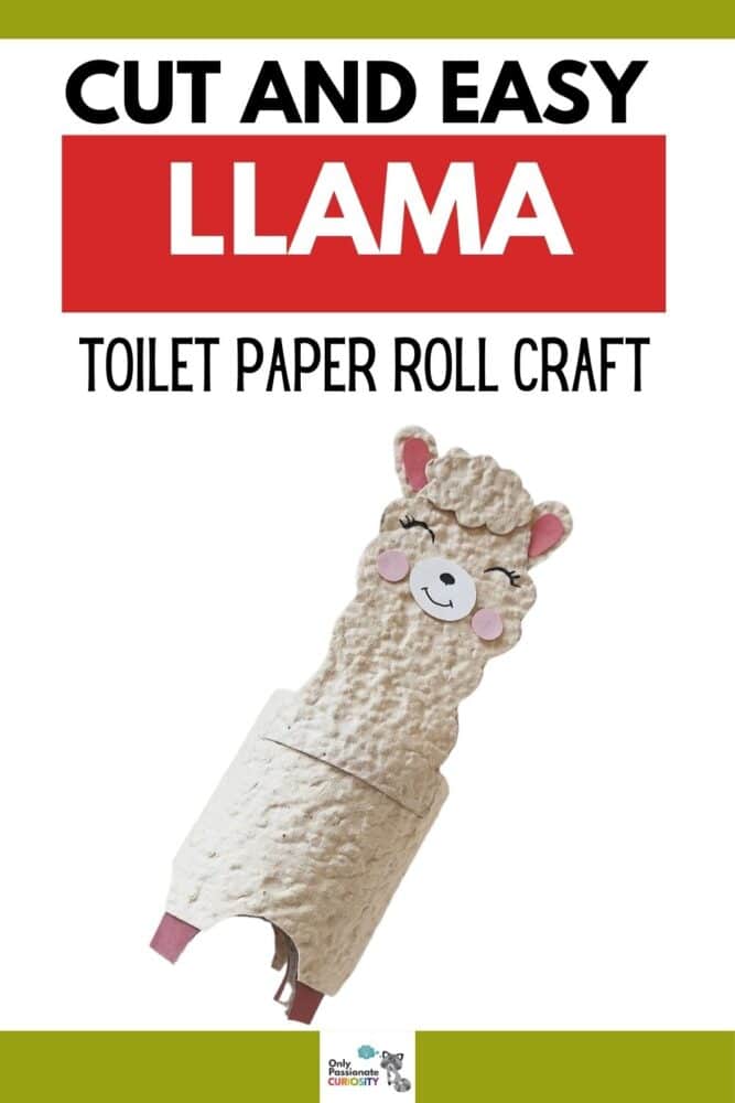 LLama Toilet Paper Roll Craft