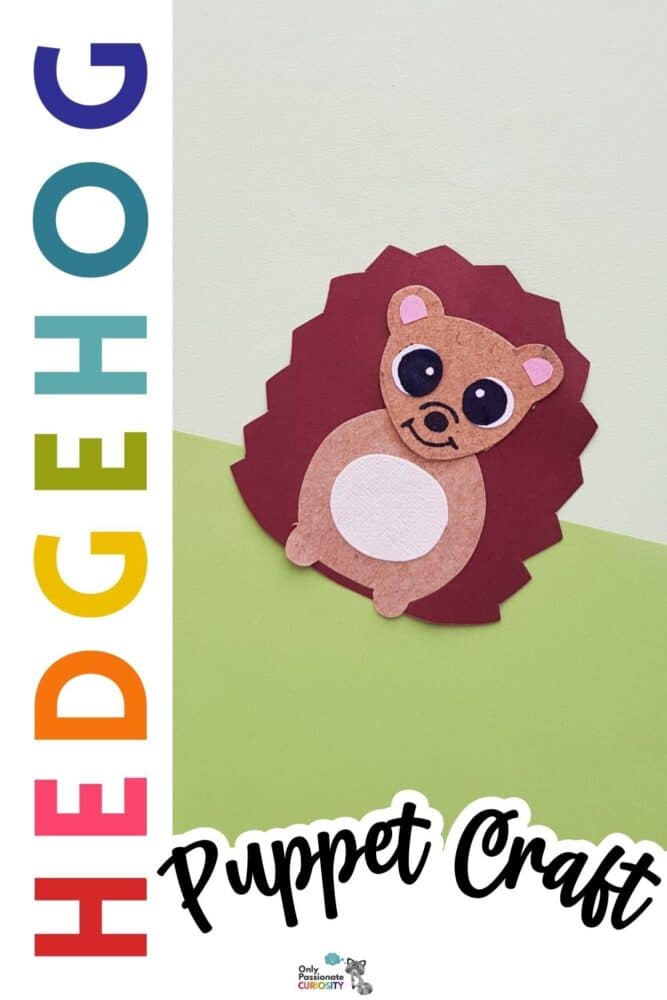 Hedgehog Puppet Craft