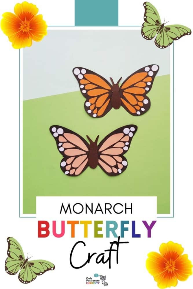 Monash Butterfly Craft