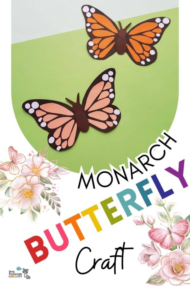 Monash Butterfly Craft