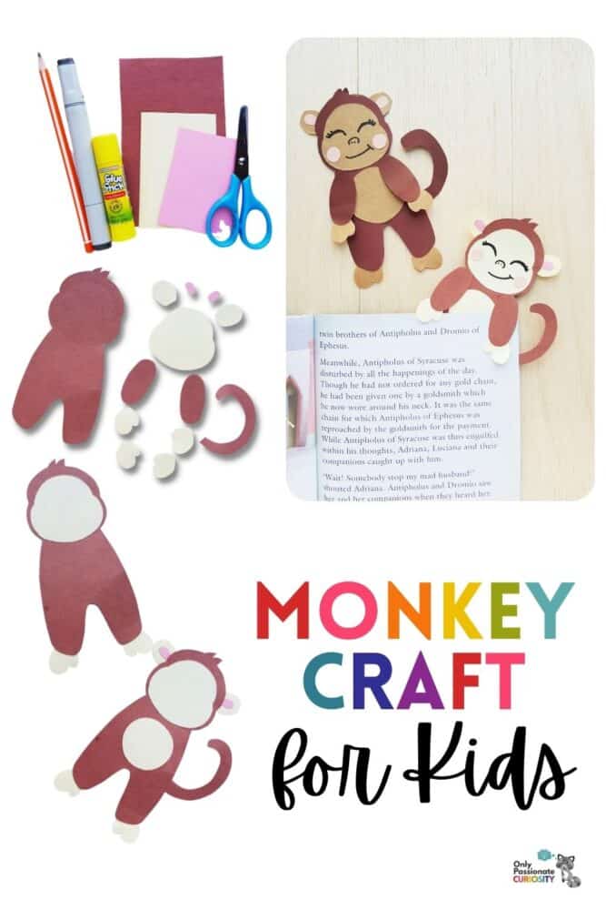monkey craft