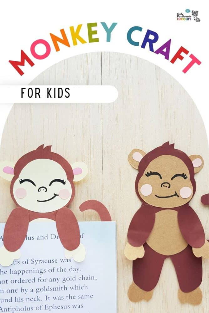 monkey craft