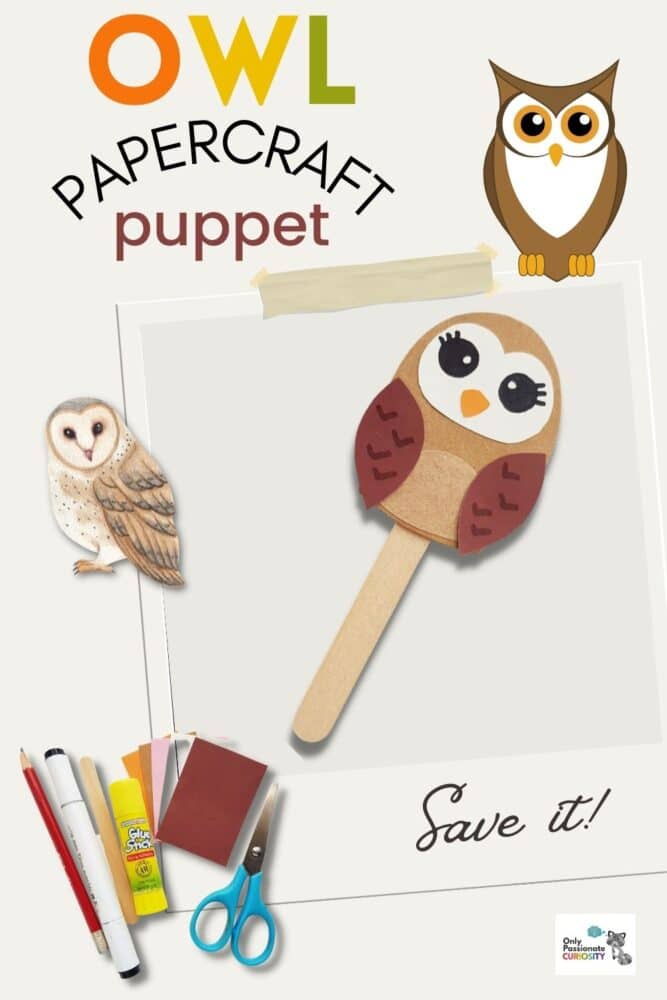 Owl Papercraft Puppet