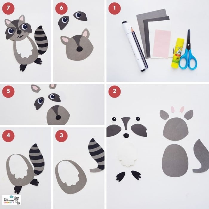 paper animals - steps for raccoon