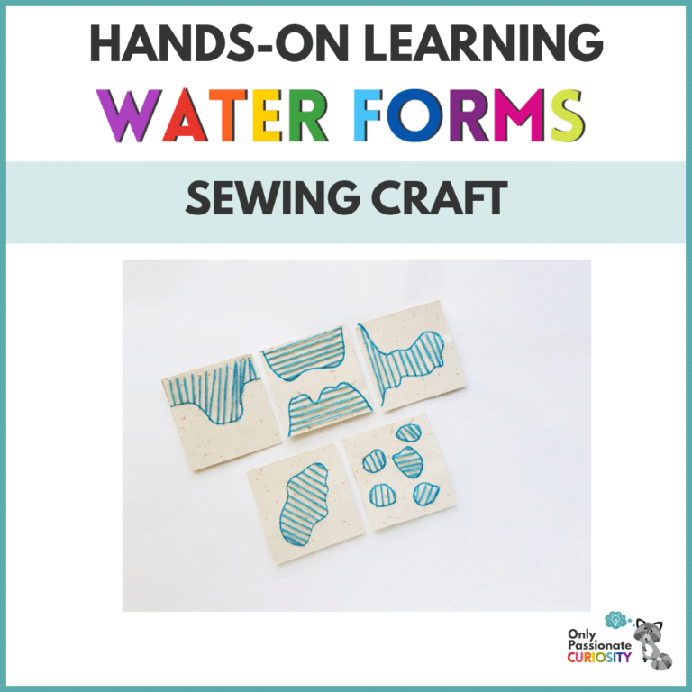 Water Form Activity – Stitch the Water Forms