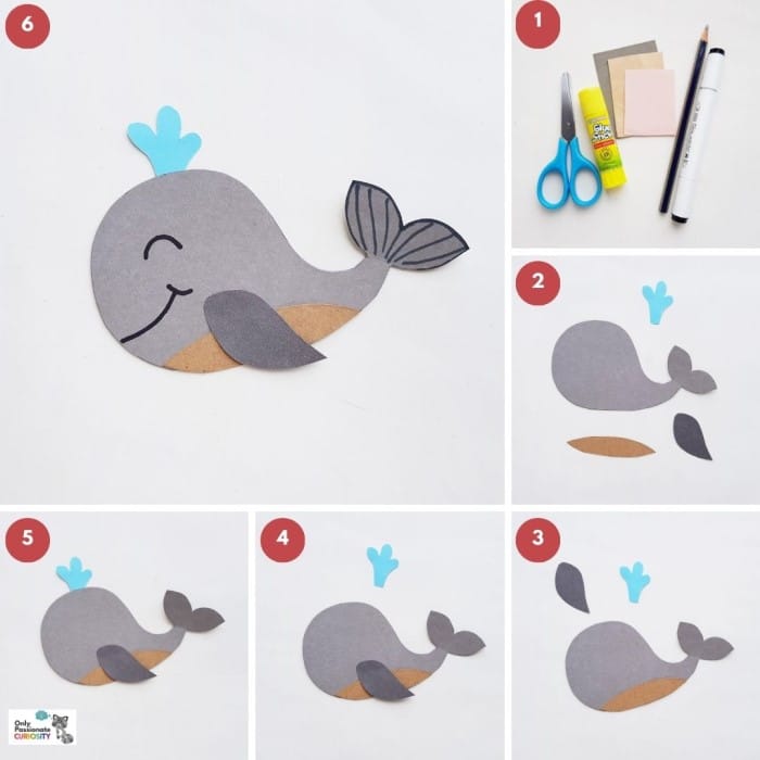 paper animals - steps for whale